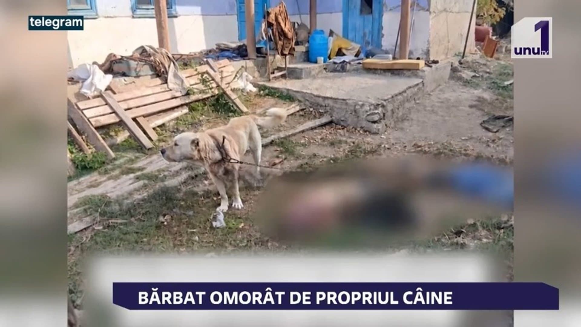 BĂRBAT OMORÂT DE PROPRIUL CÂINE
