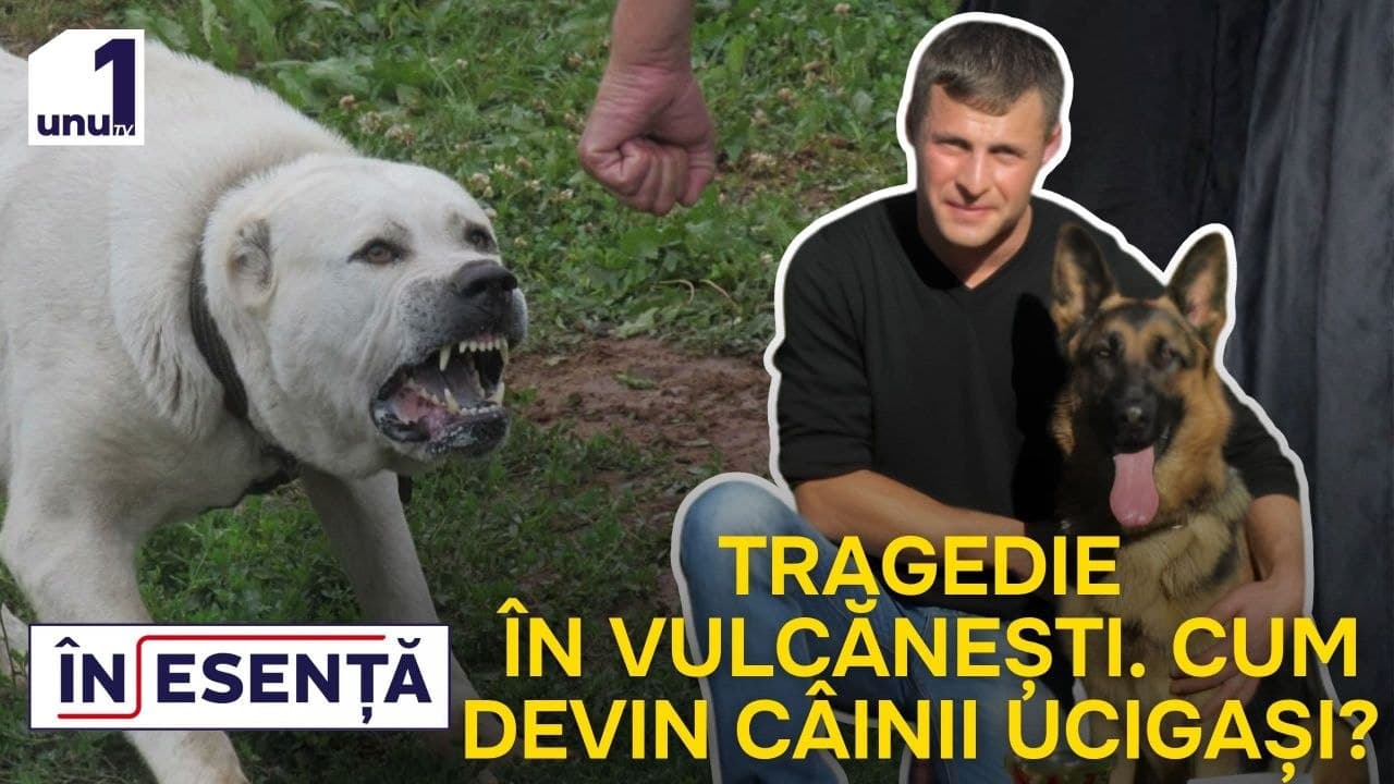 ÎN ESENȚĂ: Caz cutremurător și la Vulcănești /Tragedie imensă într-o familie din capitală /12.10.2026
