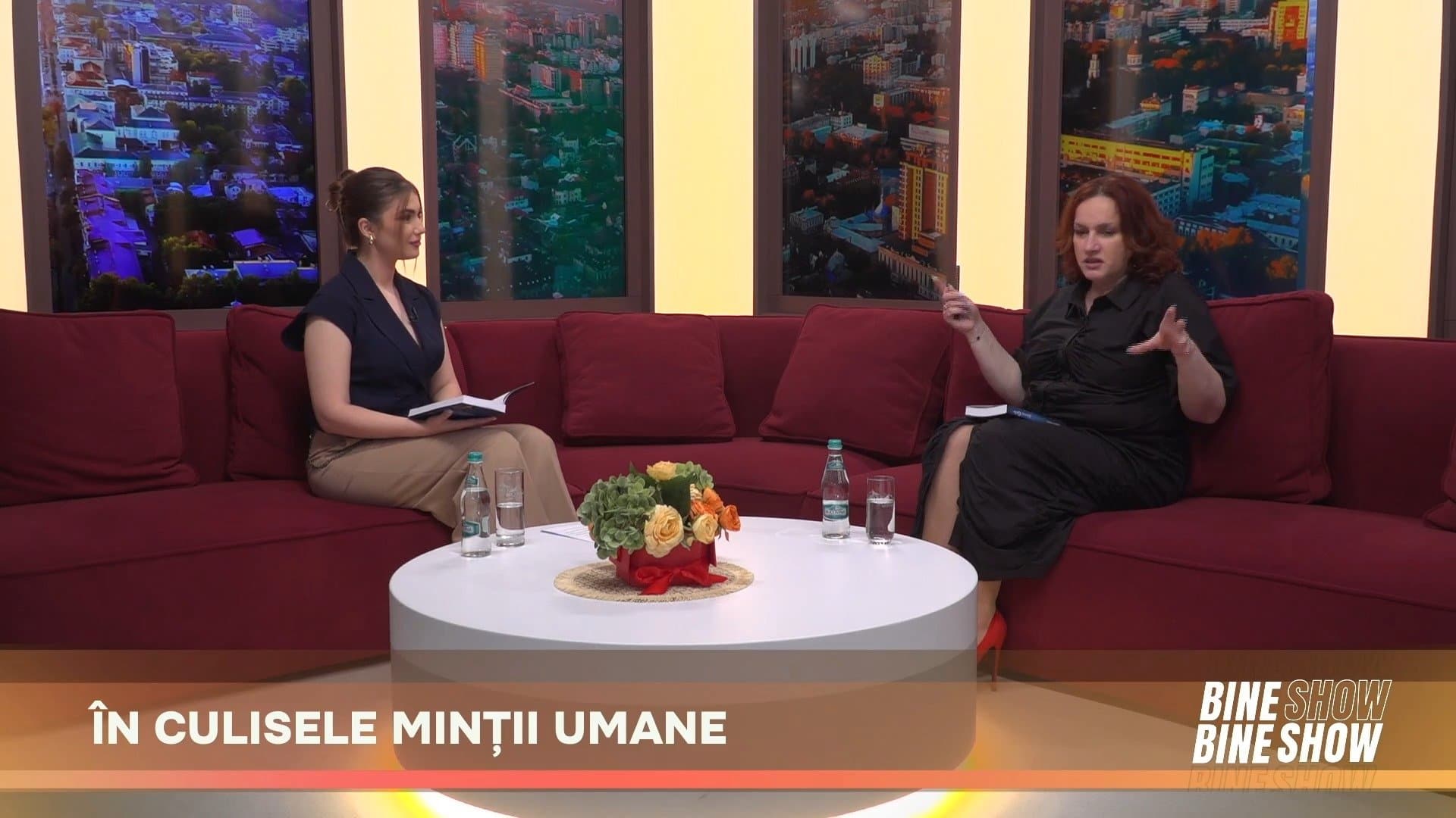 BINEBINE SHOW: Ileana Rusu, scriitoare, ne vorbește despre lansarea romanului „Efectul Cecile” /03.06.2026