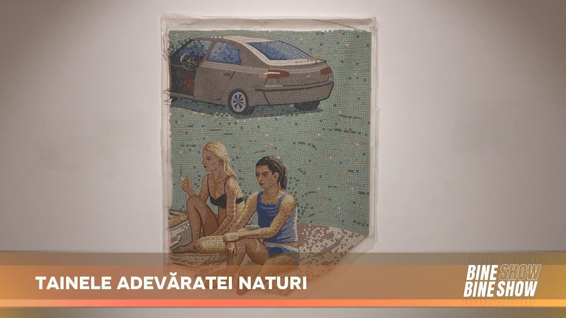 BINEBINE SHOW: Muzeul Național de Artă al Moldovei găzduiește expoziția „Adevărata natură”, semnată de artistul Șerban Savu /17.07.2026