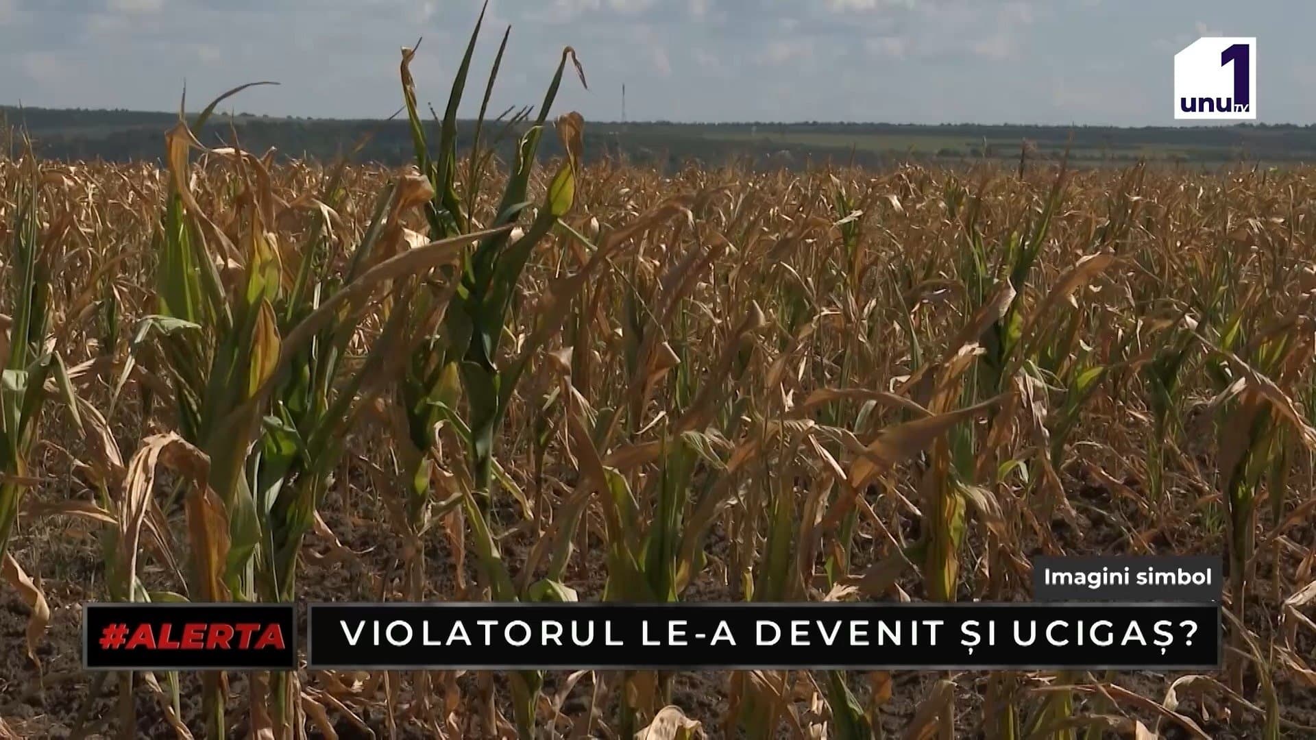 ALERTA: Două persoane au plătit cu viața din cauza unui eșec al sistemului de justiție /24.09.2026